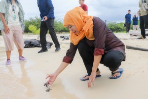 Gubernur Khofifah Lepas Puluhan Tukik di Pulau Tabuhan Banyuwangi, Ajak Masyarakat Galakkan Konservasi Penyu di Jatim