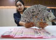 Akhir Maret 2025, Cadangan Devisa Indonesia Capai 157,1 Miliar Dolar AS