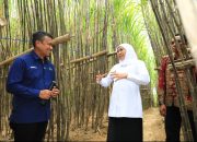 Gubernur Khofifah Luncurkan KUR Khusus Petani Tebu Jatim, Optimis Wujudkan Percepatan Swasembada Gula Nasional