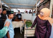 Gubernur Khofifah Wujudkan Cita-Cita Nanda Siswa SD di Singosari Malang, Sepasang Anak Sapi Beserta Kandangnya Jadi Hadiah Istimewa