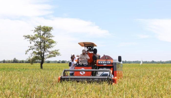 Beras Indonesia Bakal Melimpah, Produksi Tertinggi di ASEAN