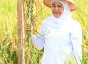 Hari Krida Pertanian 2025, Gubernur Khofifah: Petani Jatim Harus Inovatif, Tingkatkan Produktivitas Hadapi Tantangan Global