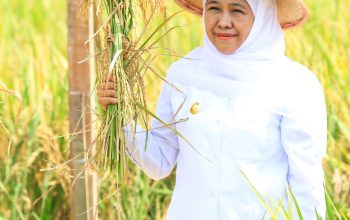 Hari Krida Pertanian 2025, Gubernur Khofifah: Petani Jatim Harus Inovatif, Tingkatkan Produktivitas Hadapi Tantangan Global