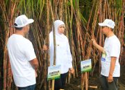 Gubernur Khofifah Dampingi Wapres Gibran Tanam dan Panen Tebu di Banyuwangi: Jatim Kontribusi 51,87 Persen Gula Nasional. Siap Wujudkan Swasembada Gula Nasional