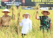 Apresiasi Kampung Pangan Terpadu Kodim 0812 di Lamongan, Gubernur Khofifah Siap Replikasi Integrated Farming Untuk Wujudkan Kedaulatan Pangan