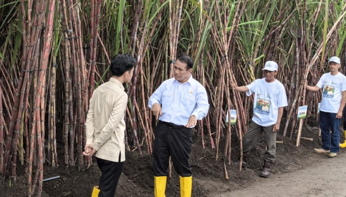Mentan Tegaskan Komitmen Percepat Swasembada Gula