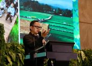 Wamendagri: Diferensiasi Jadi Kunci Pengembangan Pariwisata dan Ekonomi Kreatif