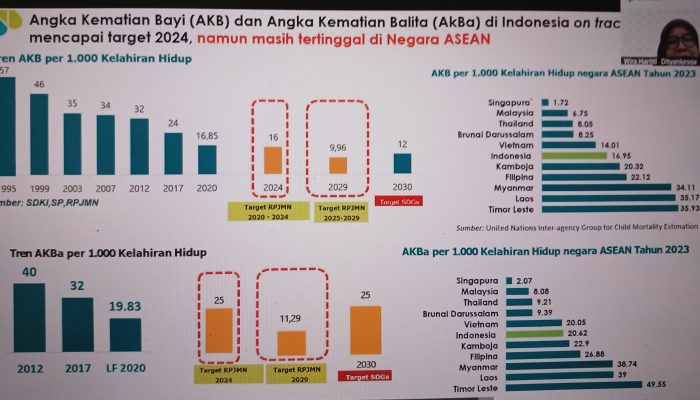 Penguatan Layanan Kesehatan dan Edukasi Keluarga, Strategi Turunkan Stunting dan Kematian Bayi