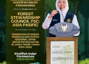 Gubernur Khofifah Dinilai Berhasil Dorong Hutan Rakyat Jatim Terapkan Standar FSC Asia Pacific Secara Berkelanjutan