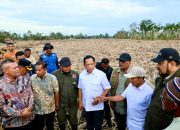 Mendagri Bersama Dirjen Bina Adwil Pastikan Pemulihan Aceh Utara Berjalan Cepat