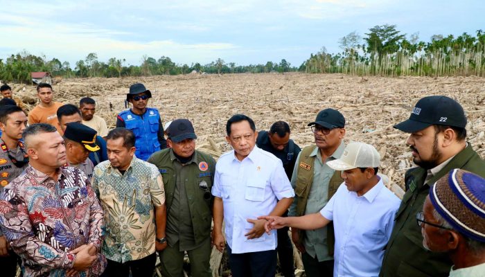 Mendagri Bersama Dirjen Bina Adwil Pastikan Pemulihan Aceh Utara Berjalan Cepat
