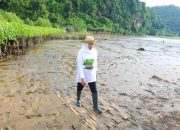 Festival Mangrove Jatim Ke-9 di Hari Ibu, Gubernur Khofifah Ajak Masyarakat Jaga Alam dan Sedekah Oksigen