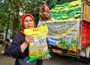 Pemerintah Godok Beras SPHP Satu Harga Rp11.000 per Kg