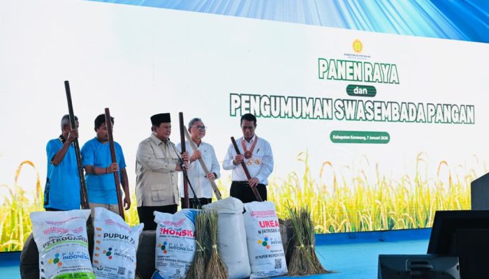Setahun Menuju Swasembada, Ketahanan Pangan Indonesia Kian Kokoh