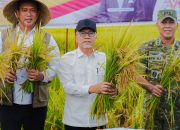 Menko Pangan Luncurkan Program Penyerapan Gabah di Maros