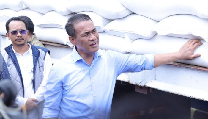 Stok Beras Nasional Melimpah, Pemerintah Jaga Stabilitas Pangan