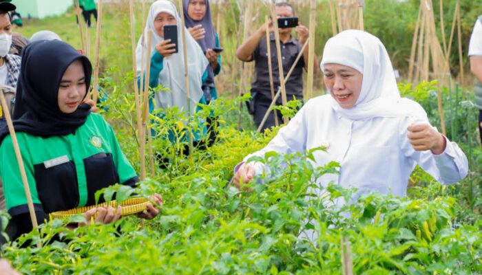 Gubernur Khofifah Apresiasi Pendidikan Berbasis Praktik di SMKN 1 Tulungagung, Dorong Animal Welfare dan Pengembangan Agribisnis Modern
