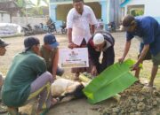 Gerakkan Ribuan Hewan Qurban, LAZISNU Jombang Maksimalkan Jaringan Struktur hingga Tingkat Desa