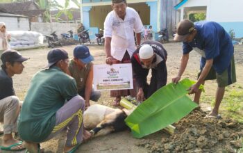 Gerakkan Ribuan Hewan Qurban, LAZISNU Jombang Maksimalkan Jaringan Struktur hingga Tingkat Desa