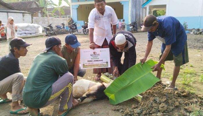 Gerakkan Ribuan Hewan Qurban, LAZISNU Jombang Maksimalkan Jaringan Struktur hingga Tingkat Desa