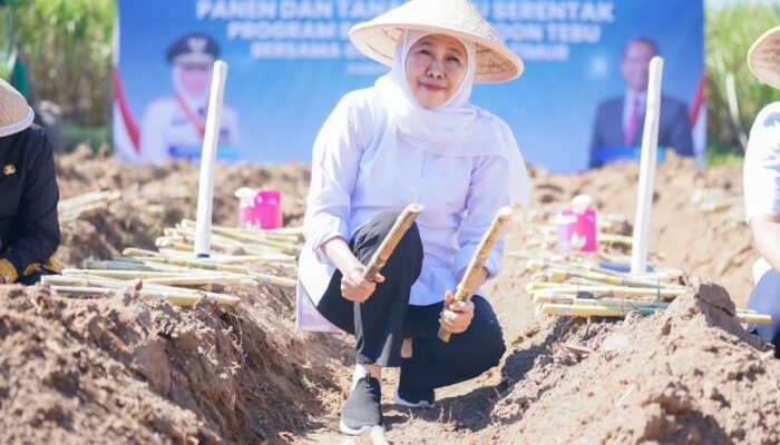 Dari Malang, Gubernur Khofifah Tegaskan Komitmen Jawa Timur Memimpin Penguatan Ketahanan Pangan Melalui Sektor Pergulaan Nasional