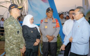 Presiden Prabowo Pimpin Panen Raya TNI Terintegrasi di Malang, Gubernur Khofifah Tegaskan Jawa Timur Pilar Ketahanan Pangan Nasional