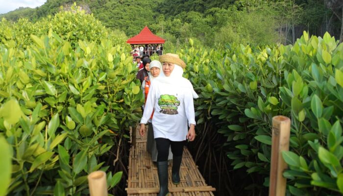 Gubernur Khofifah Ajak Jadikan Gerakan Nandur Mangrove Bagian dari Tanggung Jawab Antargenerasi di Jawa Timur
