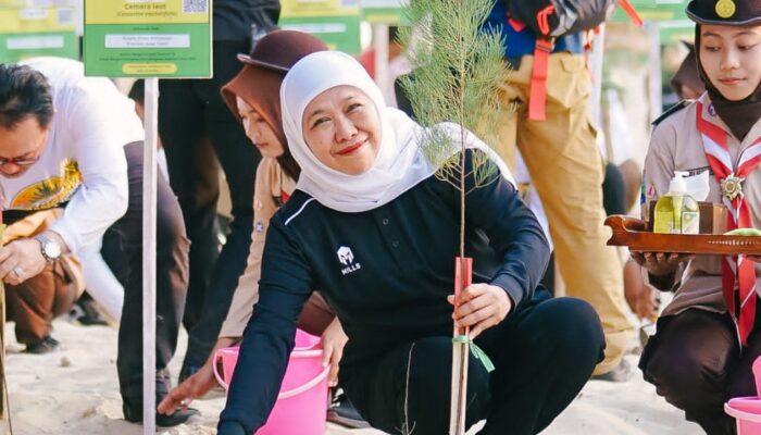 Gubernur Khofifah Bersama Kaka Slank dan Bupati Tuban Nandur Cemara Udang, Perkuat Komitmen Jaga Ekosistem Mangrove