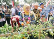 SIKAP Jadi Ruang Belajar Ketahanan Pangan, Gubernur Khofifah: Tidak Harus Menunggu Punya Lahan Luas