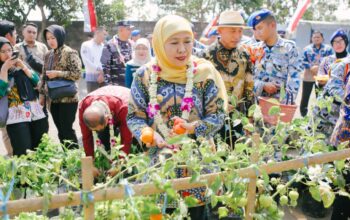 SIKAP Jadi Ruang Belajar Ketahanan Pangan, Gubernur Khofifah: Tidak Harus Menunggu Punya Lahan Luas