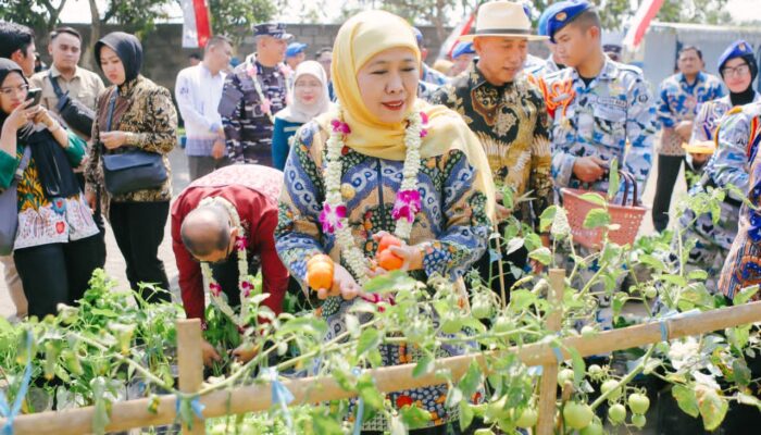 SIKAP Jadi Ruang Belajar Ketahanan Pangan, Gubernur Khofifah: Tidak Harus Menunggu Punya Lahan Luas