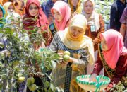 Panen Ikan Nila hingga Sayuran Hidroponik, Program SIKAP Jadi Laboratorium Kewirausahaan Siswa Jombang