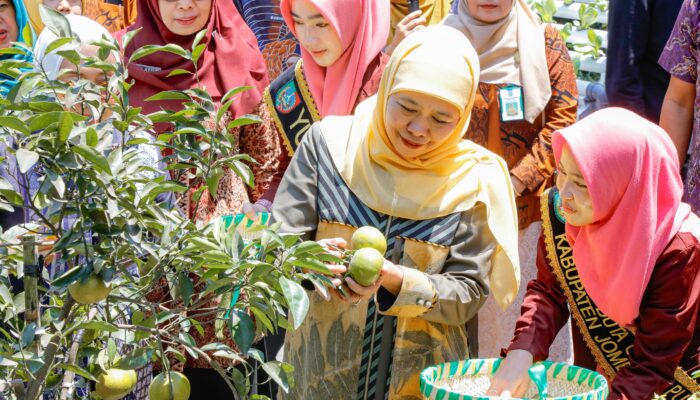 Panen Ikan Nila hingga Sayuran Hidroponik, Program SIKAP Jadi Laboratorium Kewirausahaan Siswa Jombang