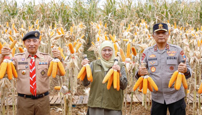 Gubernur Khofifah: Petani Jatim Bukan Sekadar Produsen Pangan, tetapi Penjaga Kedaulatan Pangan Indonesia